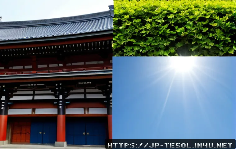 TESOL講師が受講者を動かすリーダーシップ入門|研修・資格講座を選ぶ判断基準も解説 4 TESOL 강사로서 필요한 리더십 기술 관련 이미지 2
